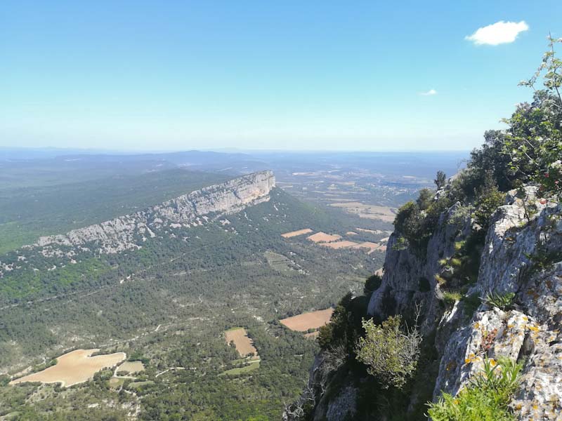 pic-saint-loup-vu-des-falaises-lauret-randonee